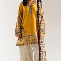 ETHNC KURTA SET ILAYDA